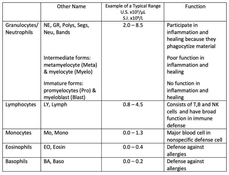 white-blood-cells-and-differential-for-those-with-cll-sll-cll-society